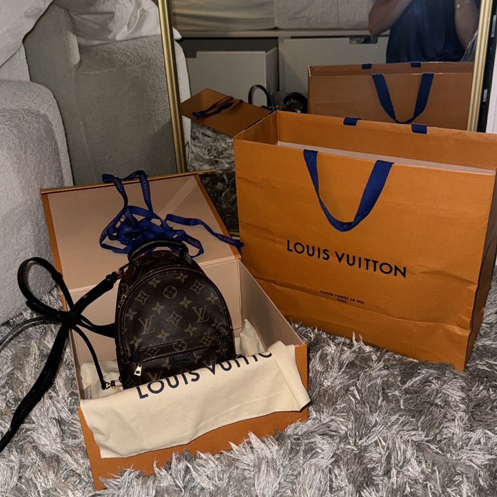 Palm Springs mini Louis Vuitton backpack ( AS SEEN ON KYLIE JENNER )